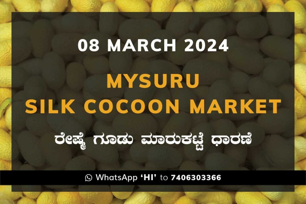 Mysuru Mysore Silk Cocoon Market Price Rate ಮೈಸೂರು ರೇಷ್ಮೆ ಗೂಡು ಮಾರುಕಟ್ಟೆ ಧಾರಣೆ