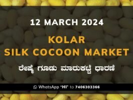 Kolar Silk Cocoon Market Price Rate ಕೋಲಾರ ರೇಷ್ಮೆ ಗೂಡು ಮಾರುಕಟ್ಟೆ ಧಾರಣೆ