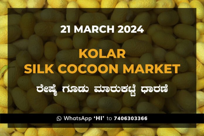 Kolar Silk Cocoon Market Price Rate ಕೋಲಾರ ರೇಷ್ಮೆ ಗೂಡು ಮಾರುಕಟ್ಟೆ ಧಾರಣೆ