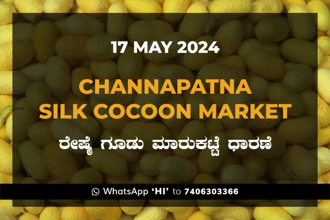 Channapatna Silk Cocoon Market Price Rate ಚನ್ನಪಟ್ಟಣ ರೇಷ್ಮೆ ಗೂಡು ಮಾರುಕಟ್ಟೆ ಧಾರಣೆ