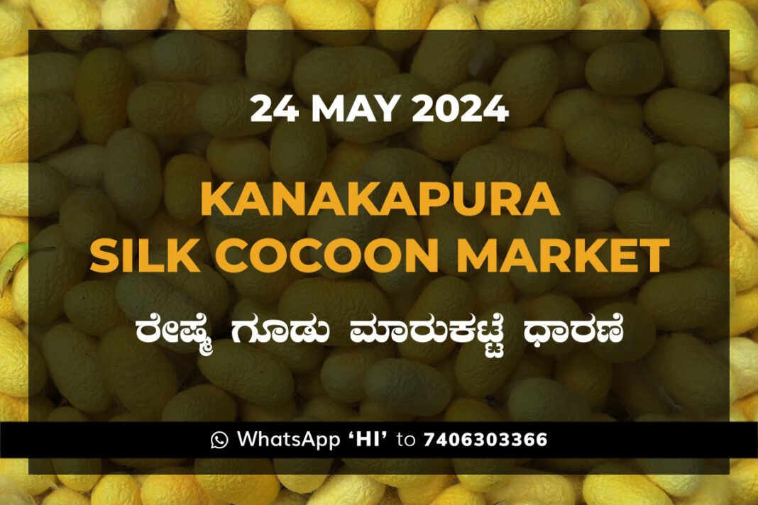 Kanakapura Silk Cocoon Market ಕನಕಪುರ ರೇಷ್ಮೆ ಗೂಡು ಮಾರುಕಟ್ಟೆ ಧಾರಣೆ