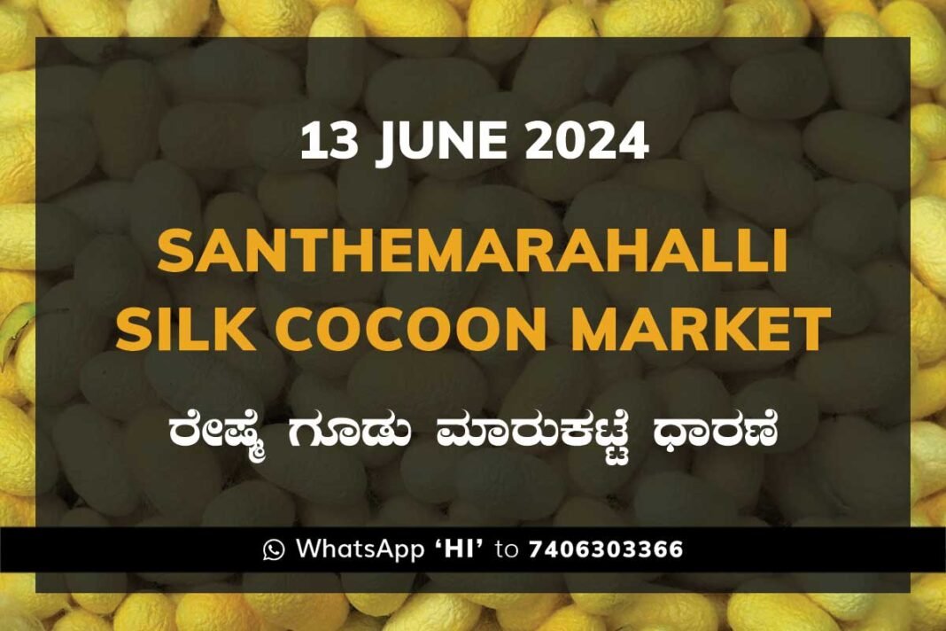 Silk Santhemarahalli Santemarahalli Government Cocoon Market ಸಂತೇಮರಹಳ್ಳಿ ರೇಷ್ಮೆ ಗೂಡು ಮಾರುಕಟ್ಟೆ ಧಾರಣೆ
