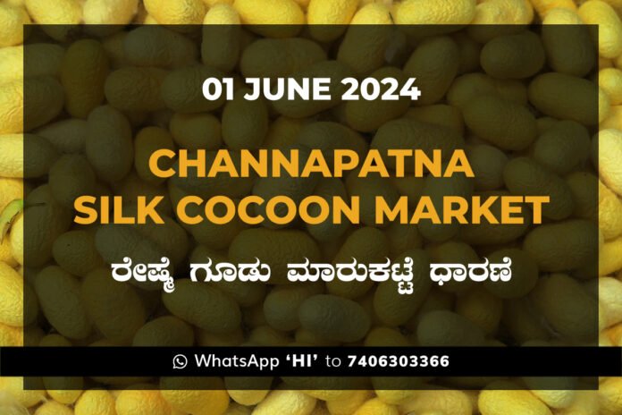 1Jun24ka Channapatna Silk Cocoon Market Price Rate ಚನ್ನಪಟ್ಟಣ ರೇಷ್ಮೆ ಗೂಡು ಮಾರುಕಟ್ಟೆ ಧಾರಣೆ