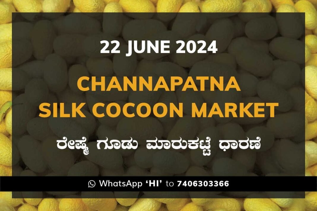 Channapatna Silk Cocoon Market Price Rate ಚನ್ನಪಟ್ಟಣ ರೇಷ್ಮೆ ಗೂಡು ಮಾರುಕಟ್ಟೆ ಧಾರಣೆ