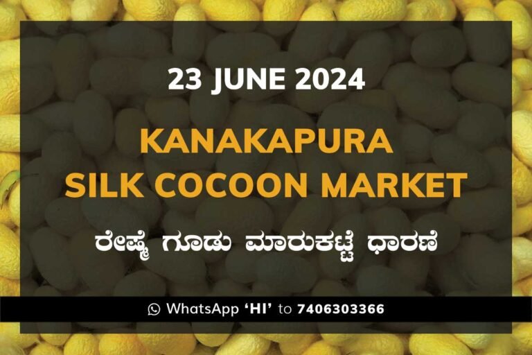 Kanakapura Silk Cocoon Market ಕನಕಪುರ ರೇಷ್ಮೆ ಗೂಡು ಮಾರುಕಟ್ಟೆ ಧಾರಣೆ