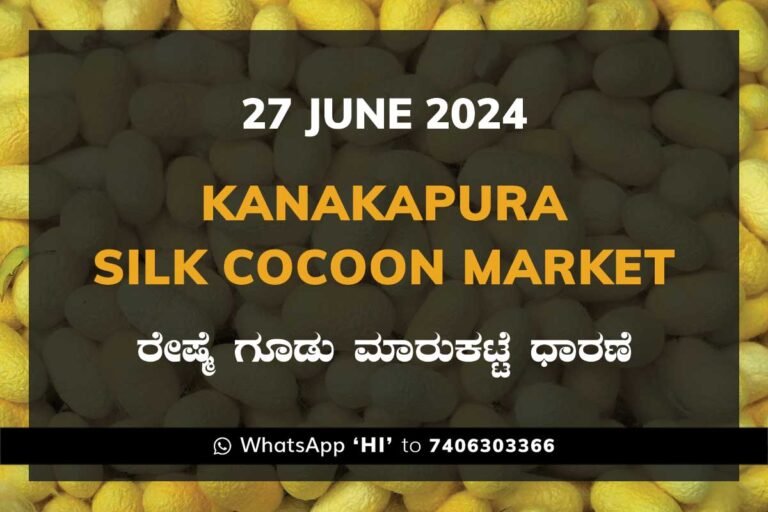 Kanakapura Silk Cocoon Market ಕನಕಪುರ ರೇಷ್ಮೆ ಗೂಡು ಮಾರುಕಟ್ಟೆ ಧಾರಣೆ
