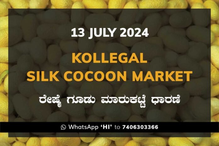 Kollegal Silk Cocoon Market Price Rate ಕೊಳ್ಳೇಗಾಲ ರೇಷ್ಮೆ ಗೂಡು ಮಾರುಕಟ್ಟೆ ಧಾರಣೆ