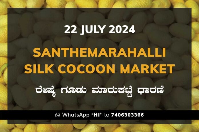 Silk Santhemarahalli Santemarahalli Government Cocoon Market ಸಂತೇಮರಹಳ್ಳಿ ರೇಷ್ಮೆ ಗೂಡು ಮಾರುಕಟ್ಟೆ ಧಾರಣೆ