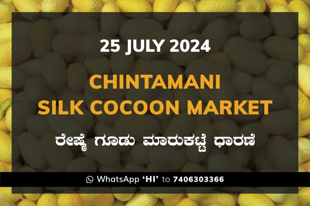 Chintamani Silk Cocoon Market ಚಿಂತಾಮಣಿ ರೇಷ್ಮೆ ಗೂಡು ಮಾರುಕಟ್ಟೆ ಧಾರಣೆ