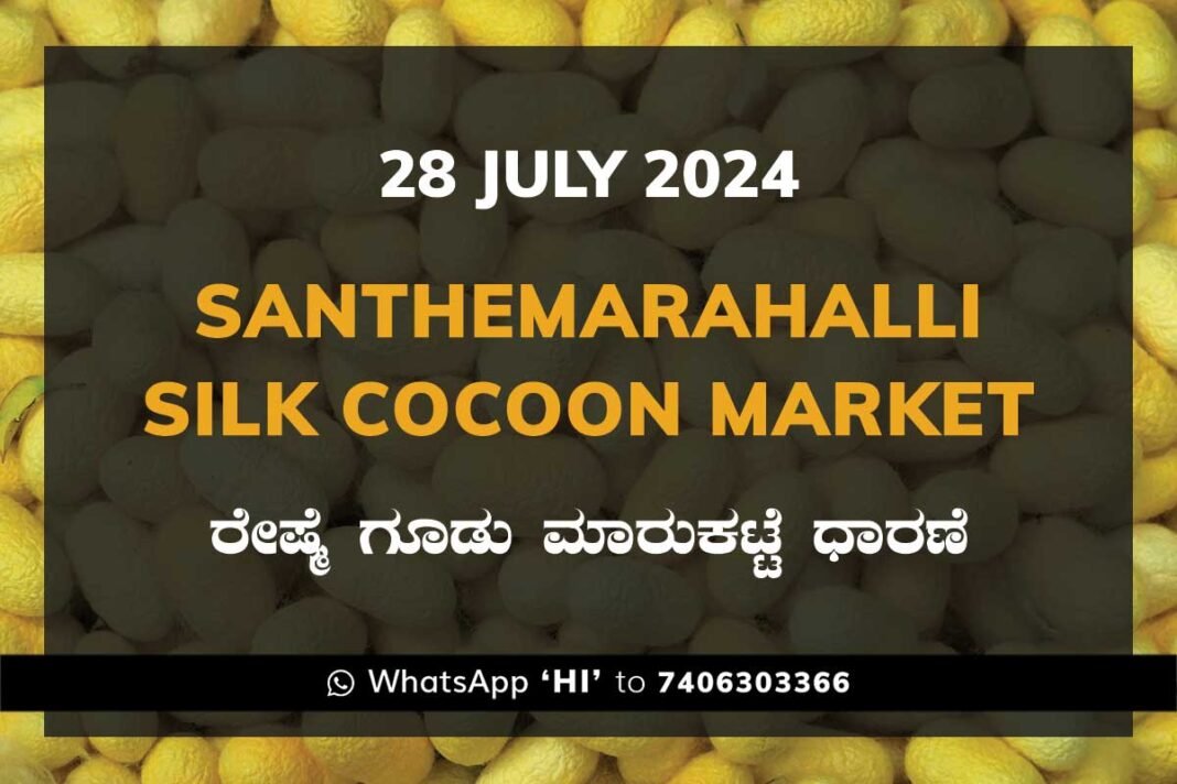 Silk Santhemarahalli Santemarahalli Government Cocoon Market ಸಂತೇಮರಹಳ್ಳಿ ರೇಷ್ಮೆ ಗೂಡು ಮಾರುಕಟ್ಟೆ ಧಾರಣೆ