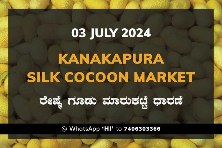 Kanakapura Silk Cocoon Market ಕನಕಪುರ ರೇಷ್ಮೆ ಗೂಡು ಮಾರುಕಟ್ಟೆ ಧಾರಣೆ
