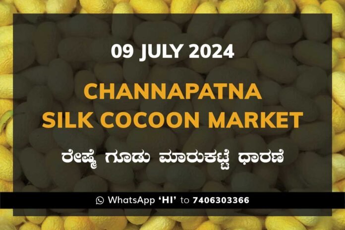 Channapatna Silk Cocoon Market Price Rate ಚನ್ನಪಟ್ಟಣ ರೇಷ್ಮೆ ಗೂಡು ಮಾರುಕಟ್ಟೆ ಧಾರಣೆ