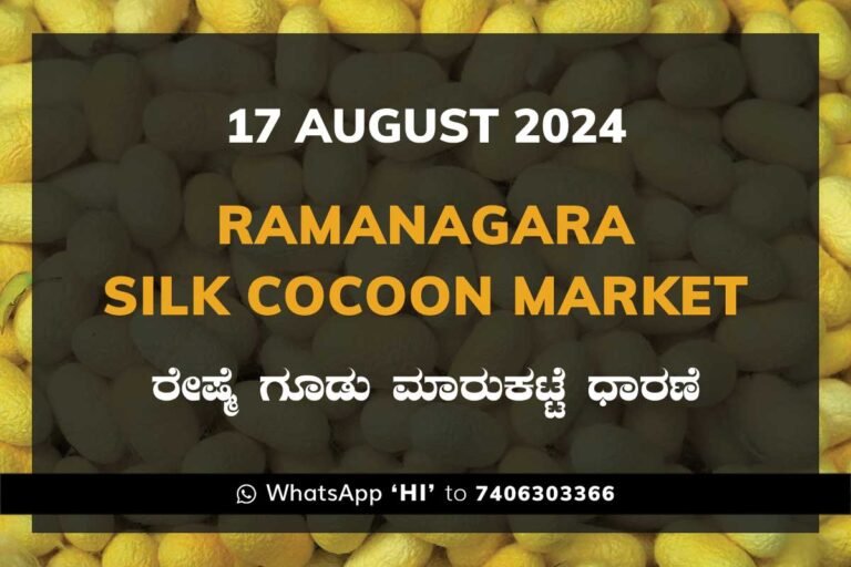 Ramanagara Silk Cocoon Market ರಾಮನಗರ ರೇಷ್ಮೆ ಗೂಡು ಮಾರುಕಟ್ಟೆ ಧಾರಣೆ