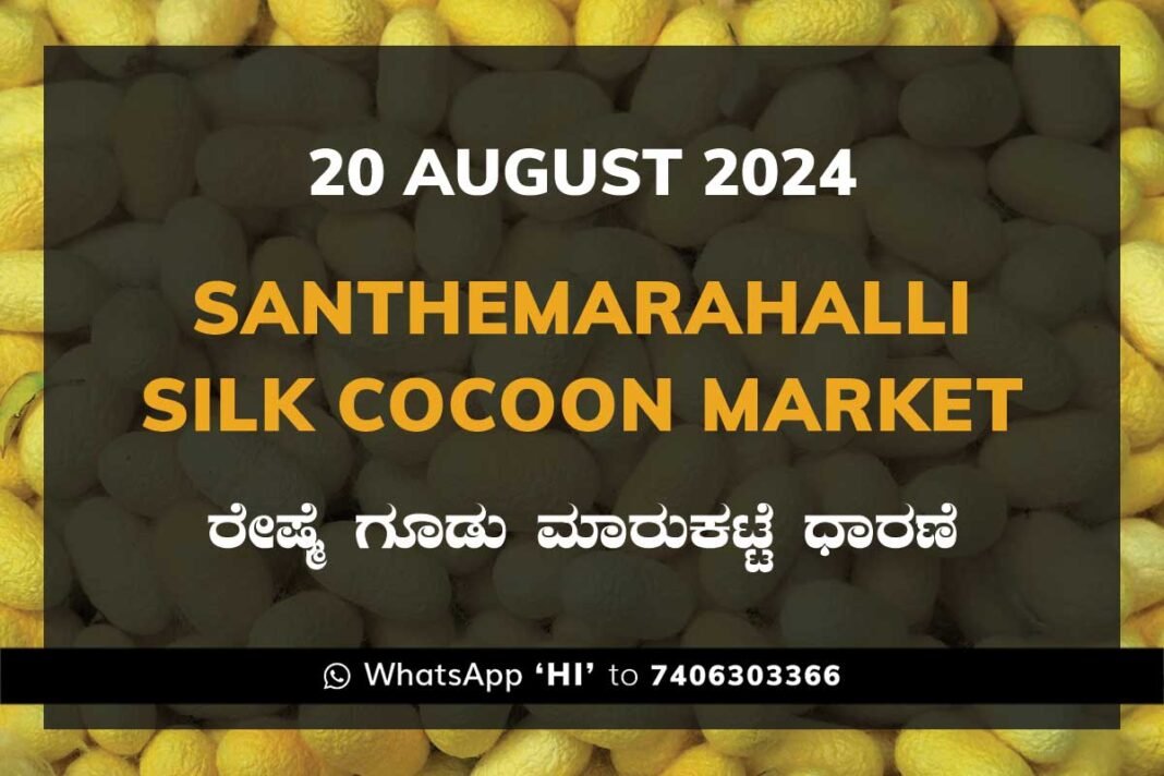 Silk Santhemarahalli Santemarahalli Government Cocoon Market ಸಂತೇಮರಹಳ್ಳಿ ರೇಷ್ಮೆ ಗೂಡು ಮಾರುಕಟ್ಟೆ ಧಾರಣೆ