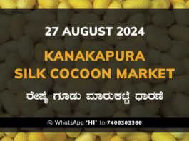 Kanakapura Silk Cocoon Market ಕನಕಪುರ ರೇಷ್ಮೆ ಗೂಡು ಮಾರುಕಟ್ಟೆ ಧಾರಣೆ