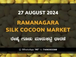 Ramanagara Silk Cocoon Market ರಾಮನಗರ ರೇಷ್ಮೆ ಗೂಡು ಮಾರುಕಟ್ಟೆ ಧಾರಣೆ