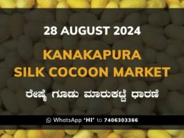 Kanakapura Silk Cocoon Market ಕನಕಪುರ ರೇಷ್ಮೆ ಗೂಡು ಮಾರುಕಟ್ಟೆ ಧಾರಣೆ