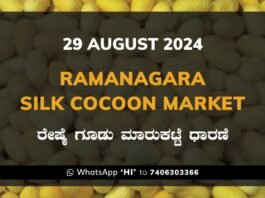 Ramanagara Silk Cocoon Market ರಾಮನಗರ ರೇಷ್ಮೆ ಗೂಡು ಮಾರುಕಟ್ಟೆ ಧಾರಣೆ