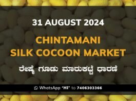 Chintamani Silk Cocoon Market ಚಿಂತಾಮಣಿ ರೇಷ್ಮೆ ಗೂಡು ಮಾರುಕಟ್ಟೆ ಧಾರಣೆ