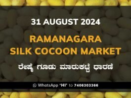 Ramanagara Silk Cocoon Market ರಾಮನಗರ ರೇಷ್ಮೆ ಗೂಡು ಮಾರುಕಟ್ಟೆ ಧಾರಣೆ