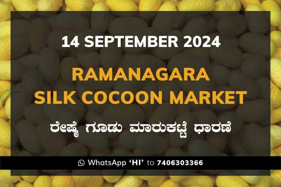 Ramanagara Silk Cocoon Market ರಾಮನಗರ ರೇಷ್ಮೆ ಗೂಡು ಮಾರುಕಟ್ಟೆ ಧಾರಣೆ