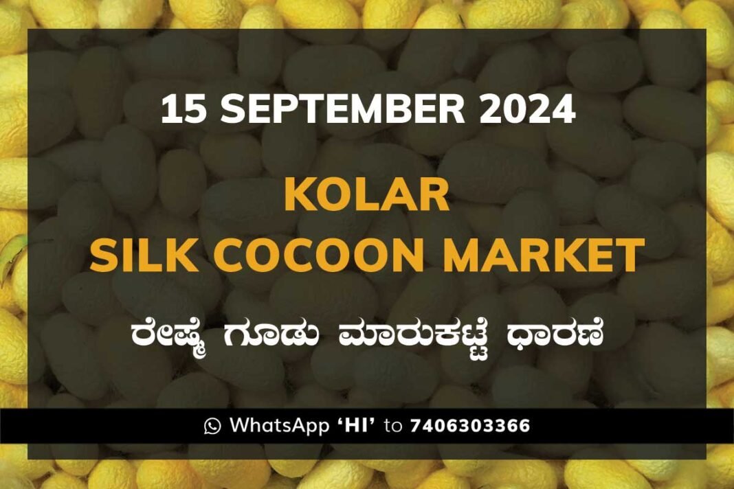 Kolar Silk Cocoon Market Price Rate ಕೋಲಾರ ರೇಷ್ಮೆ ಗೂಡು ಮಾರುಕಟ್ಟೆ ಧಾರಣೆ