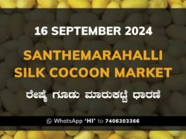 Silk Santhemarahalli Santemarahalli Government Cocoon Market ಸಂತೇಮರಹಳ್ಳಿ ರೇಷ್ಮೆ ಗೂಡು ಮಾರುಕಟ್ಟೆ ಧಾರಣೆ