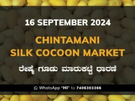 Chintamani Silk Cocoon Market ಚಿಂತಾಮಣಿ ರೇಷ್ಮೆ ಗೂಡು ಮಾರುಕಟ್ಟೆ ಧಾರಣೆ