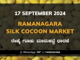 Ramanagara Silk Cocoon Market ರಾಮನಗರ ರೇಷ್ಮೆ ಗೂಡು ಮಾರುಕಟ್ಟೆ ಧಾರಣೆ