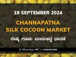 Chintamani Silk Cocoon Market ಚಿಂತಾಮಣಿ ರೇಷ್ಮೆ ಗೂಡು ಮಾರುಕಟ್ಟೆ ಧಾರಣೆ