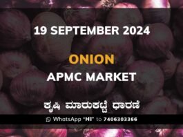 Onion Karnataka APMC Agriculture Market Price ಈರುಳ್ಳಿ ಕೃಷಿ ಮಾರುಕಟ್ಟೆ ಧಾರಣೆ