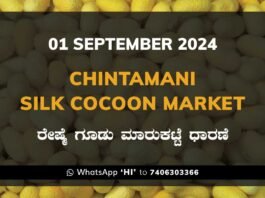 Chintamani Silk Cocoon Market ಚಿಂತಾಮಣಿ ರೇಷ್ಮೆ ಗೂಡು ಮಾರುಕಟ್ಟೆ ಧಾರಣೆ