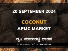 Coconut Karnataka APMC Agriculture Market Daily Price Report ತೆಂಗಿನಕಾಯಿ ಕೃಷಿ ಮಾರುಕಟ್ಟೆ ಧಾರಣೆ