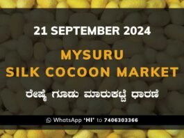 Mysuru Mysore Silk Cocoon Market Price Rate ಮೈಸೂರು ರೇಷ್ಮೆ ಗೂಡು ಮಾರುಕಟ್ಟೆ ಧಾರಣೆ