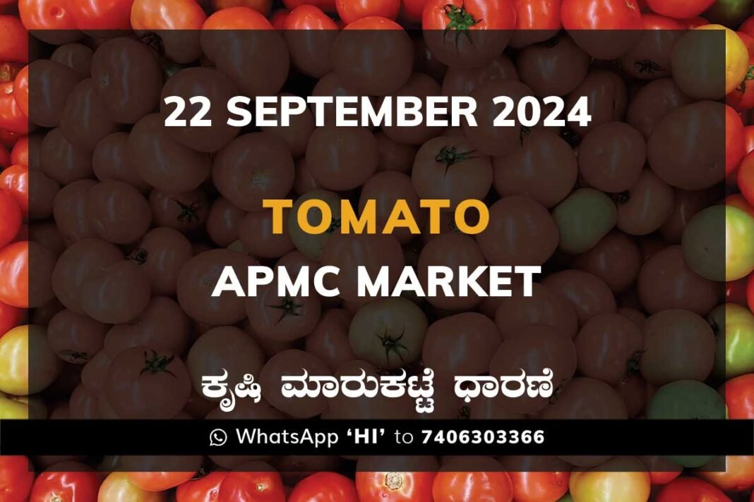 Tomato Price: Karnataka APMC Agriculture Market