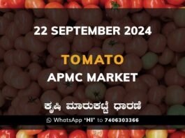 Tomato Price: Karnataka APMC Agriculture Market