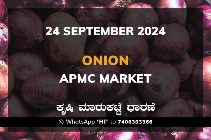 24Sep24Kaa Onion Karnataka APMC Agriculture Market Price ಈರುಳ್ಳಿ ಕೃಷಿ ಮಾರುಕಟ್ಟೆ ಧಾರಣೆ