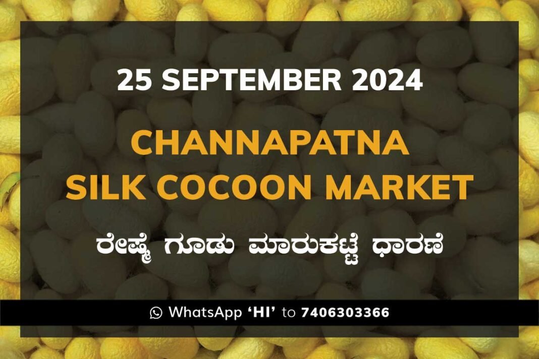 Channapatna Silk Cocoon Market Price Rate ಚನ್ನಪಟ್ಟಣ ರೇಷ್ಮೆ ಗೂಡು ಮಾರುಕಟ್ಟೆ ಧಾರಣೆ