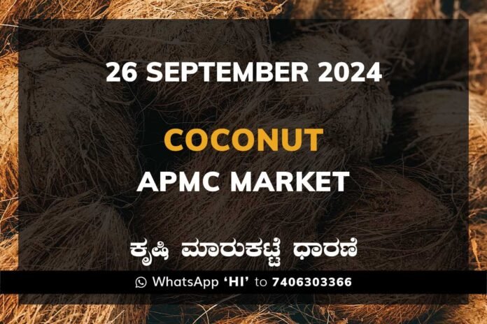 Coconut Karnataka APMC Agriculture Market Daily Price Report ತೆಂಗಿನಕಾಯಿ ಕೃಷಿ ಮಾರುಕಟ್ಟೆ ಧಾರಣೆ