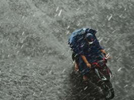 Heavy Rainfall Alert for 9 Districts in Karnataka IMD Issues Warning