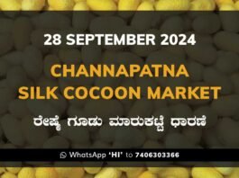 Chintamani Silk Cocoon Market ಚಿಂತಾಮಣಿ ರೇಷ್ಮೆ ಗೂಡು ಮಾರುಕಟ್ಟೆ ಧಾರಣೆ