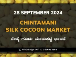 Chintamani Silk Cocoon Market ಚಿಂತಾಮಣಿ ರೇಷ್ಮೆ ಗೂಡು ಮಾರುಕಟ್ಟೆ ಧಾರಣೆ