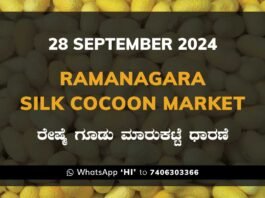 Ramanagara Silk Cocoon Market ರಾಮನಗರ ರೇಷ್ಮೆ ಗೂಡು ಮಾರುಕಟ್ಟೆ ಧಾರಣೆ