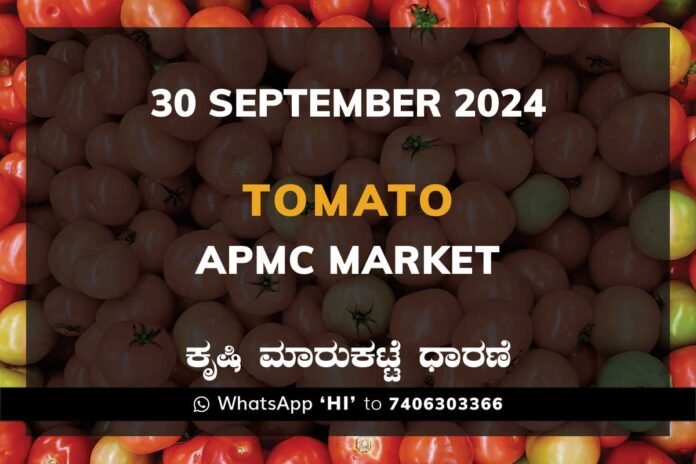 30Sep24a1a Tomato Price: Karnataka APMC Agriculture Market