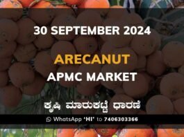 Arecanut Karnataka APMC Agriculture Market Price ಅಡಿಕೆ ಕೃಷಿ ಮಾರುಕಟ್ಟೆ ಧಾರಣೆ