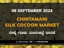 Chintamani Silk Cocoon Market ಚಿಂತಾಮಣಿ ರೇಷ್ಮೆ ಗೂಡು ಮಾರುಕಟ್ಟೆ ಧಾರಣೆ