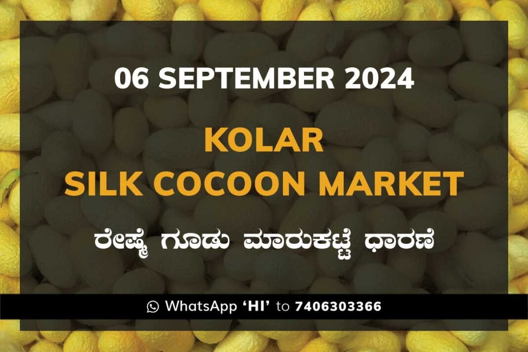 Kolar Silk Cocoon Market Price Rate ಕೋಲಾರ ರೇಷ್ಮೆ ಗೂಡು ಮಾರುಕಟ್ಟೆ ಧಾರಣೆ