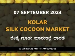 Kolar Silk Cocoon Market Price Rate ಕೋಲಾರ ರೇಷ್ಮೆ ಗೂಡು ಮಾರುಕಟ್ಟೆ ಧಾರಣೆ