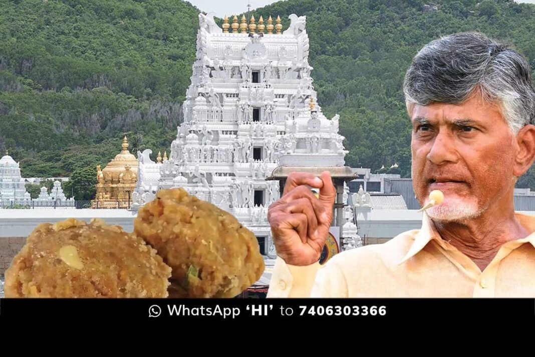 Chandrababu Naidu alleges animal fat in Tirupati Lord’s laddu