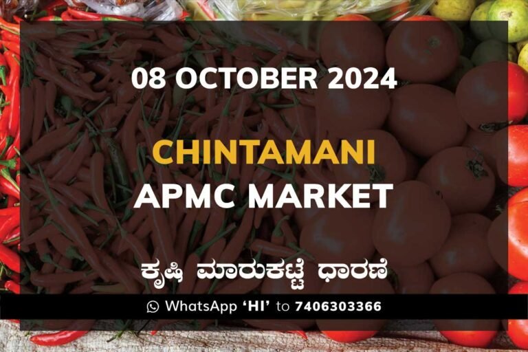 Chintamani APMC Agriculture Market ಚಿಂತಾಮಣಿ ಕೃಷಿ ಮಾರುಕಟ್ಟೆ ಧಾರಣೆ